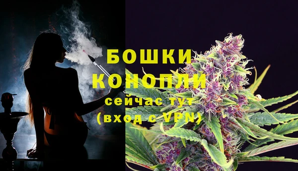 дурь Гусь-Хрустальный