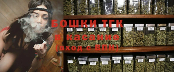 гидропоника Гусиноозёрск