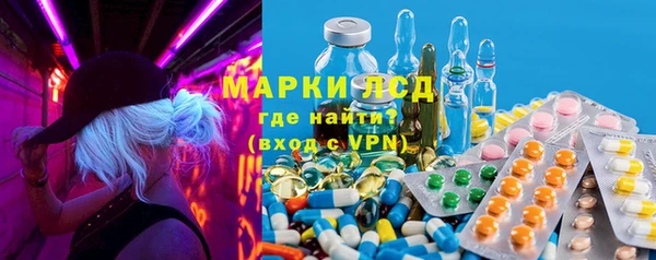 гидропоника Гусиноозёрск